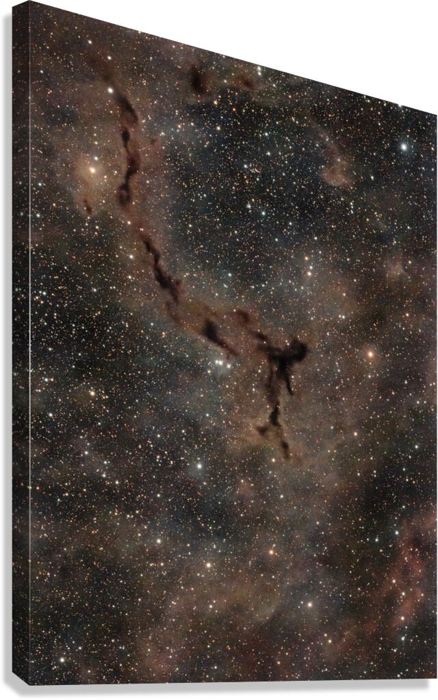Barnard 150  Canvas Print