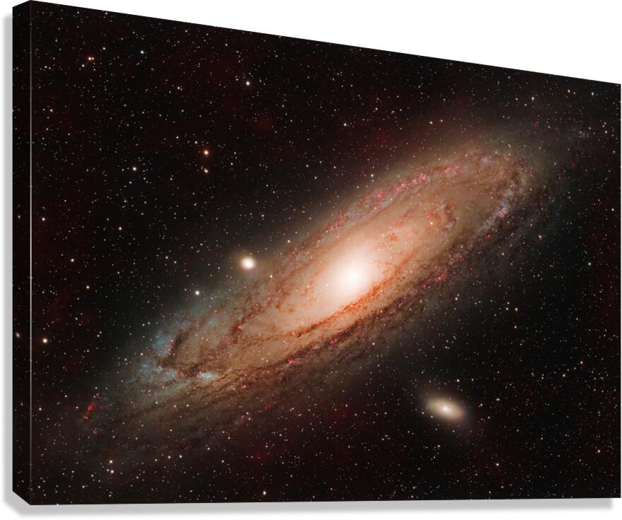 Andromeda Canvas Print