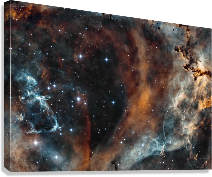 Rosette Canvas Print