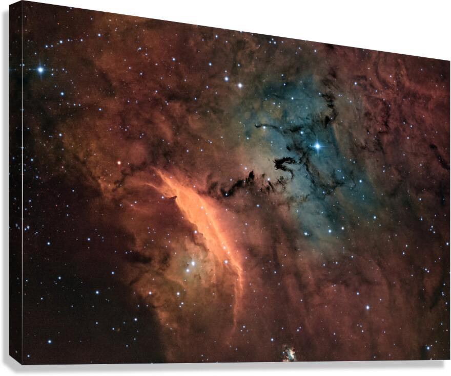 IC 4685 Canvas Print