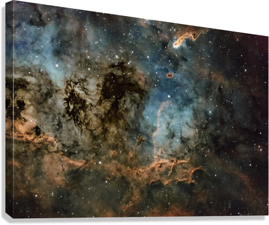 IC 410 Canvas Print