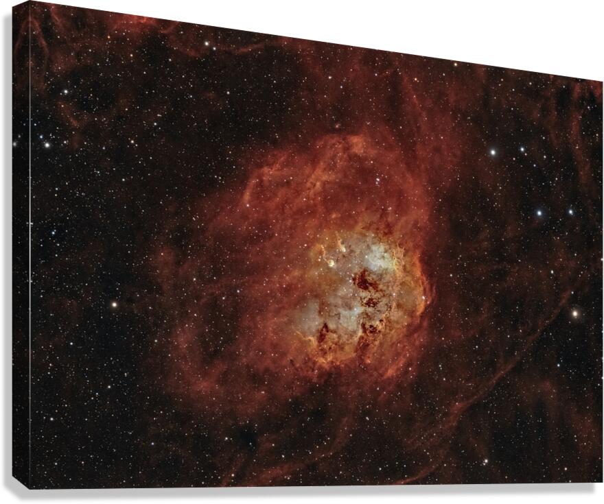 Tadpole Nebula Canvas Print