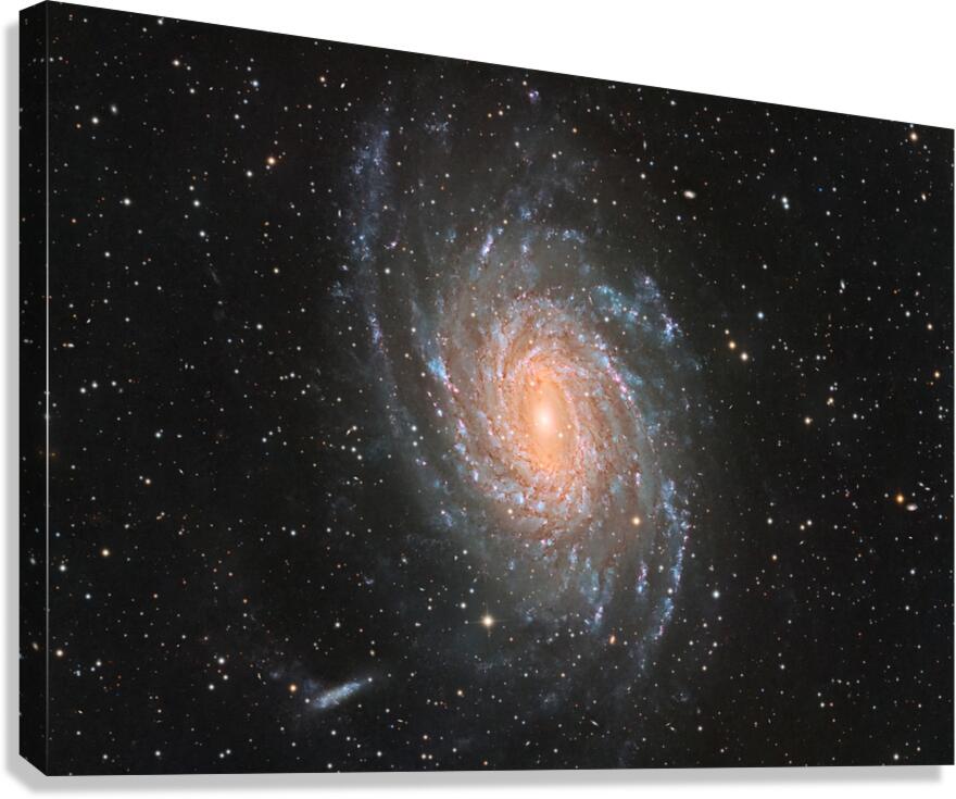 NGC 6744 Canvas Print