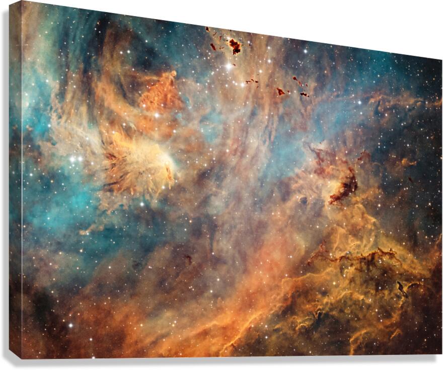 IC 2648 Canvas Print