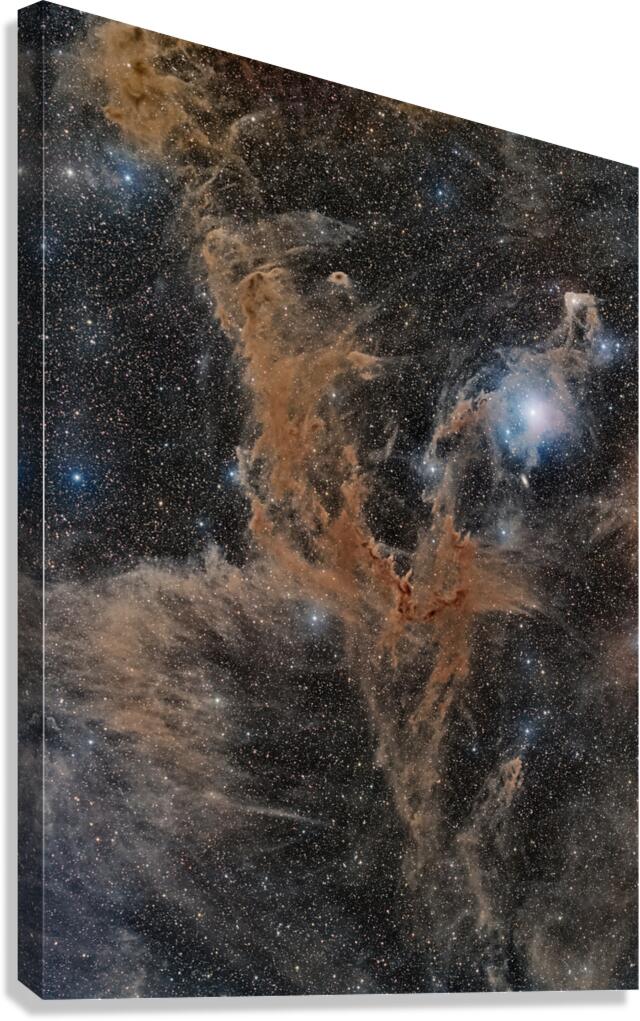 Dust in Chamaeleon Canvas Print