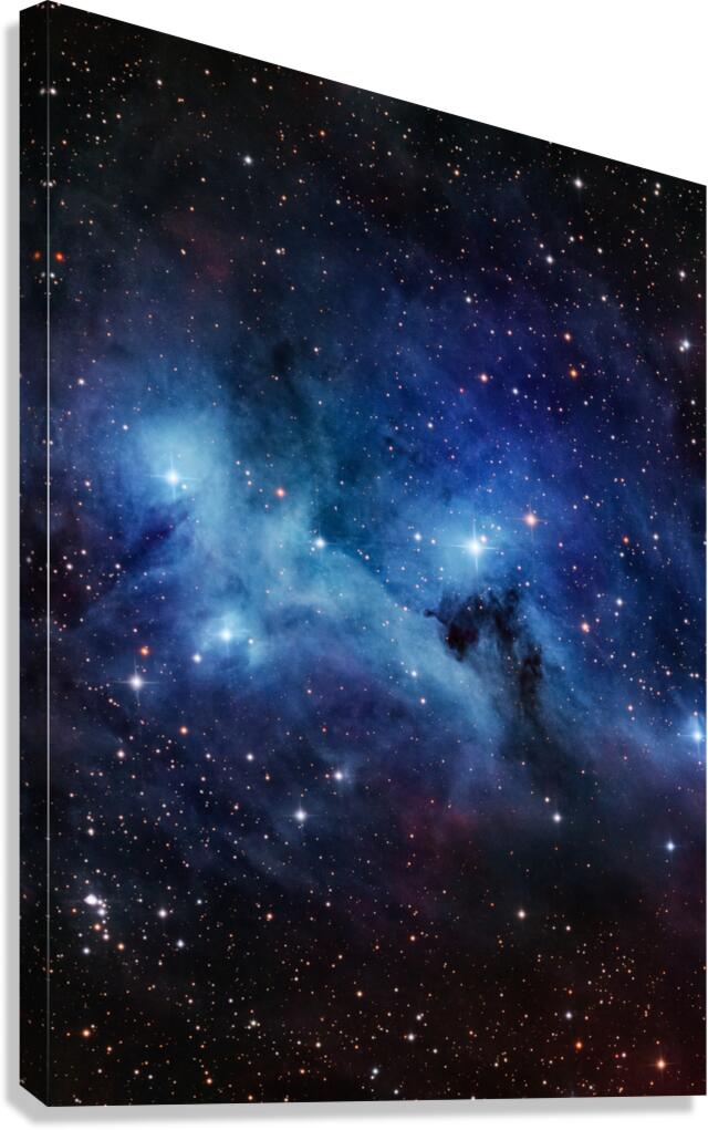 IC 2169 Canvas Print