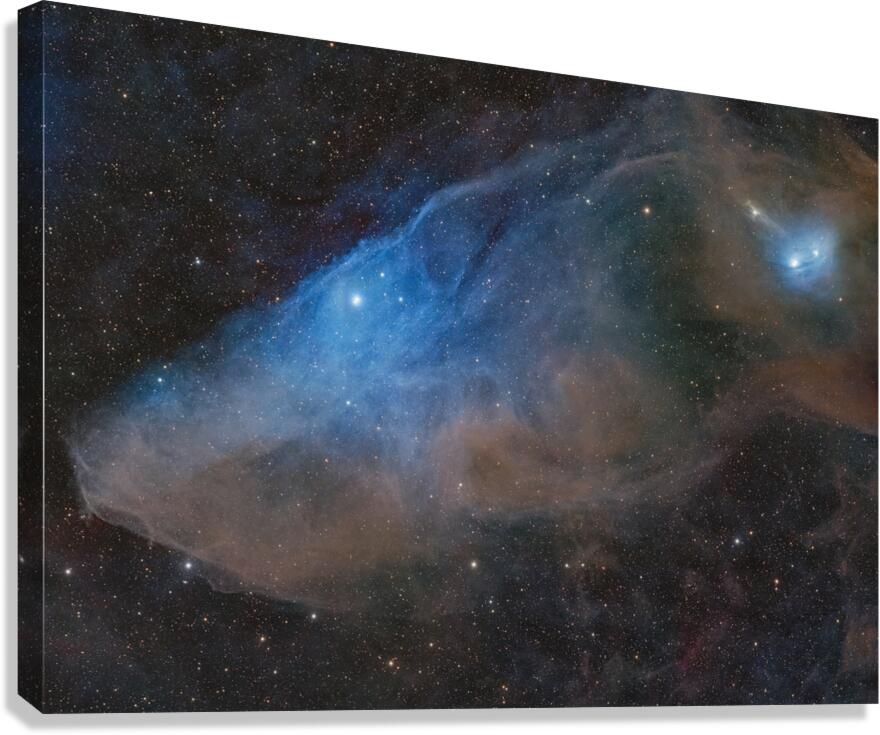 BlueHorseHead Canvas Print