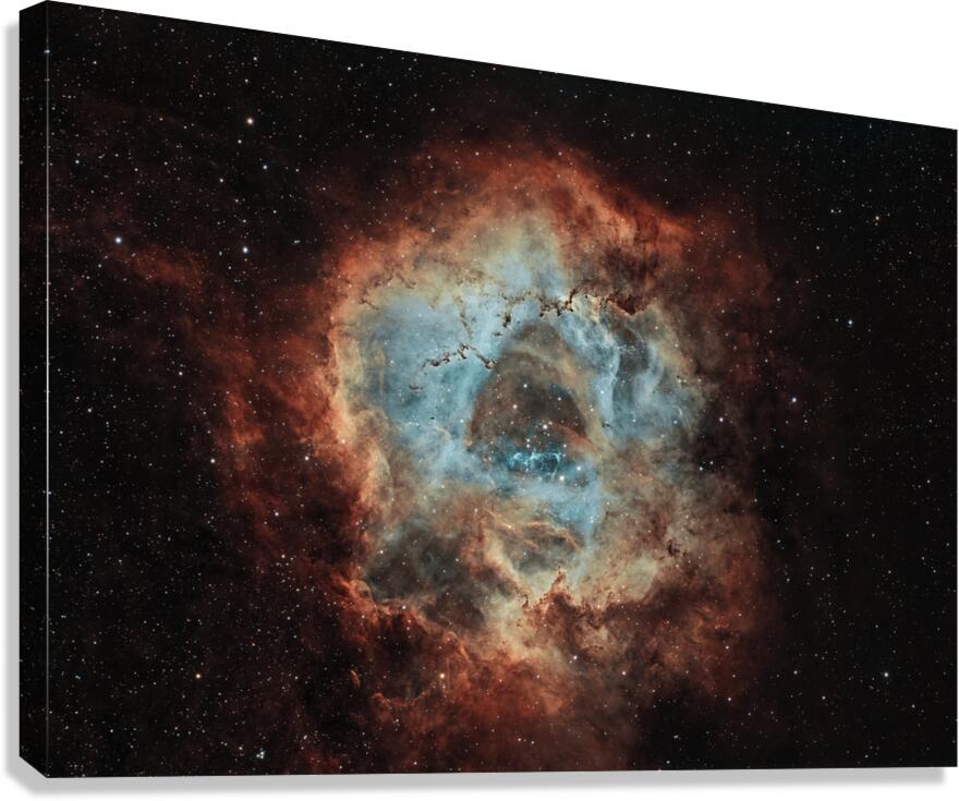 Rosette Nebula Canvas Print