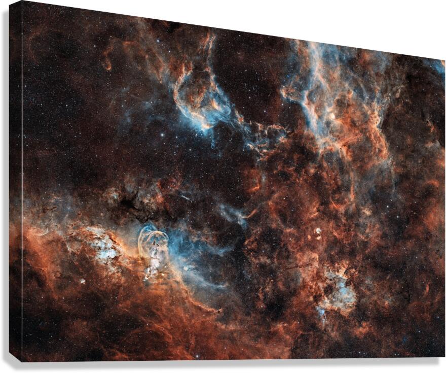Southern Nebulae Canvas Print