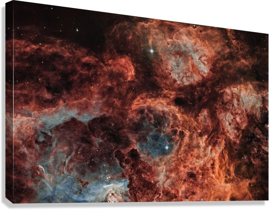 RCW 131 Canvas Print