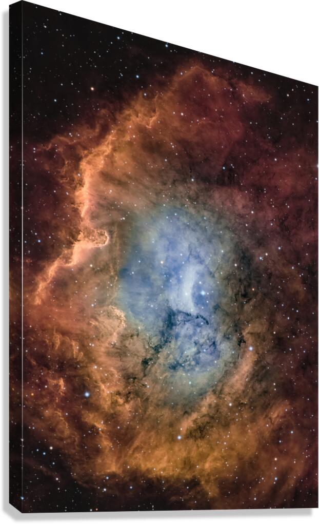 CED 116 Canvas Print