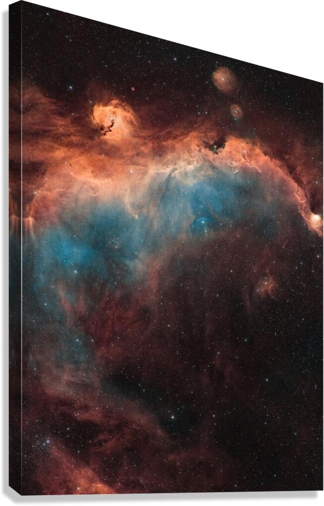 Seagull Nebula Canvas Print