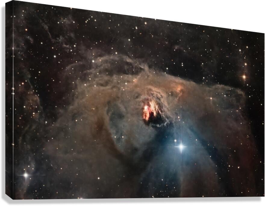 NGC 1555 Canvas Print