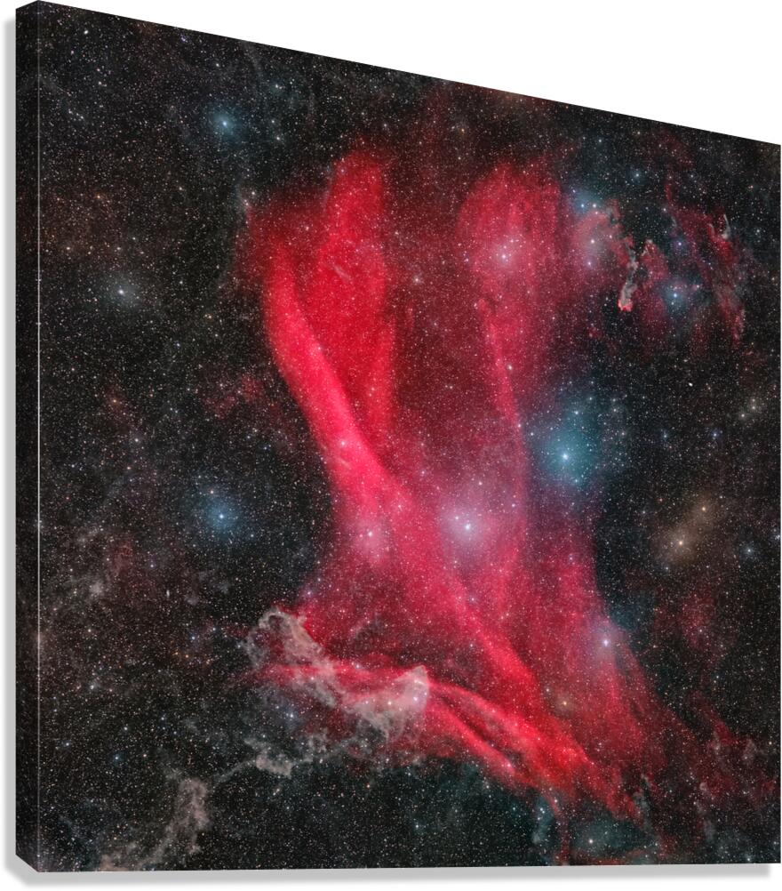 Great Lacerta Nebula Canvas Print