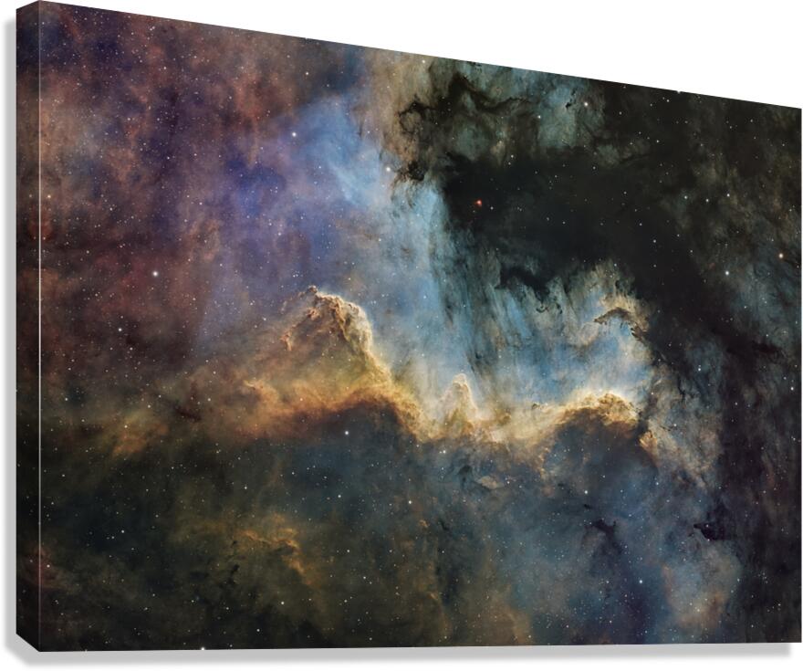 Cygnus Wall Canvas Print