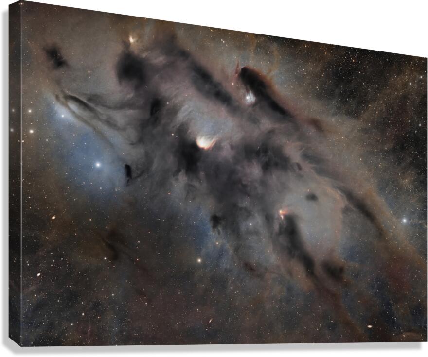 IC2087 Canvas Print