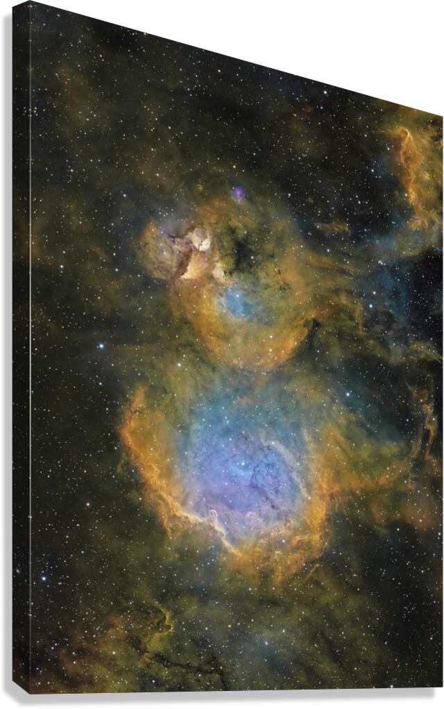 IC2872 Canvas Print