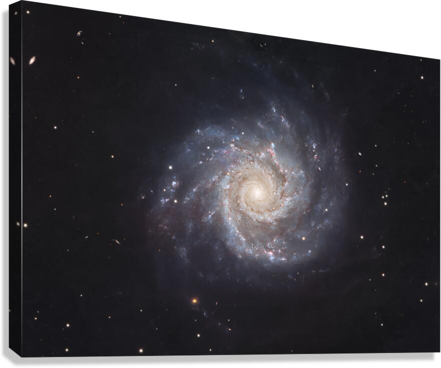 Messier 94 Canvas Print