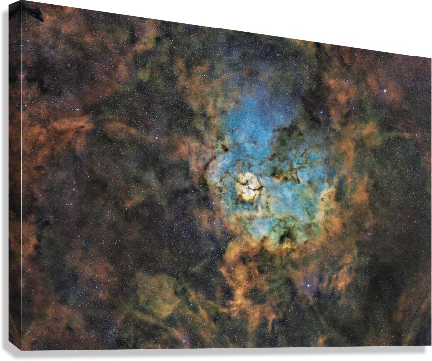 SH2 124 Canvas Print