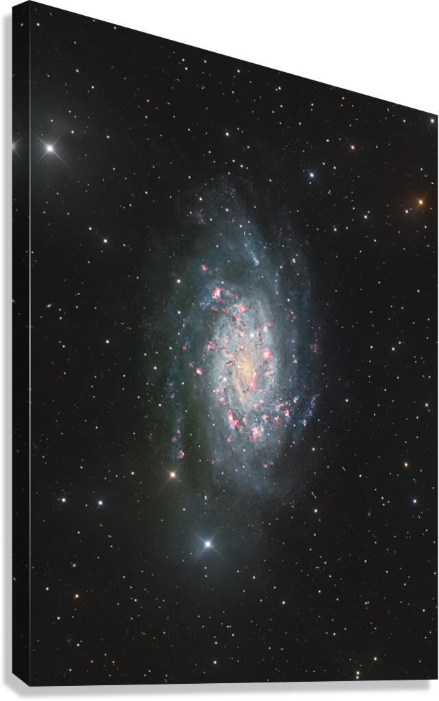 NGC2403 Canvas Print