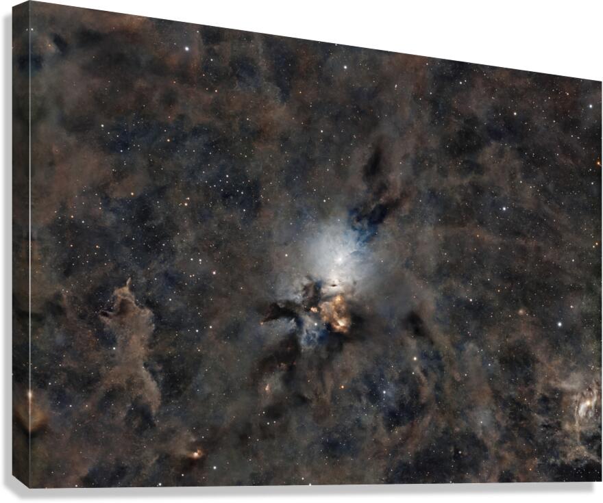 Embryo Nebula Canvas Print