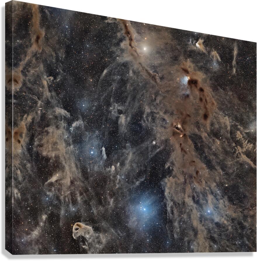 Taurus Molecular Cloud Canvas Print