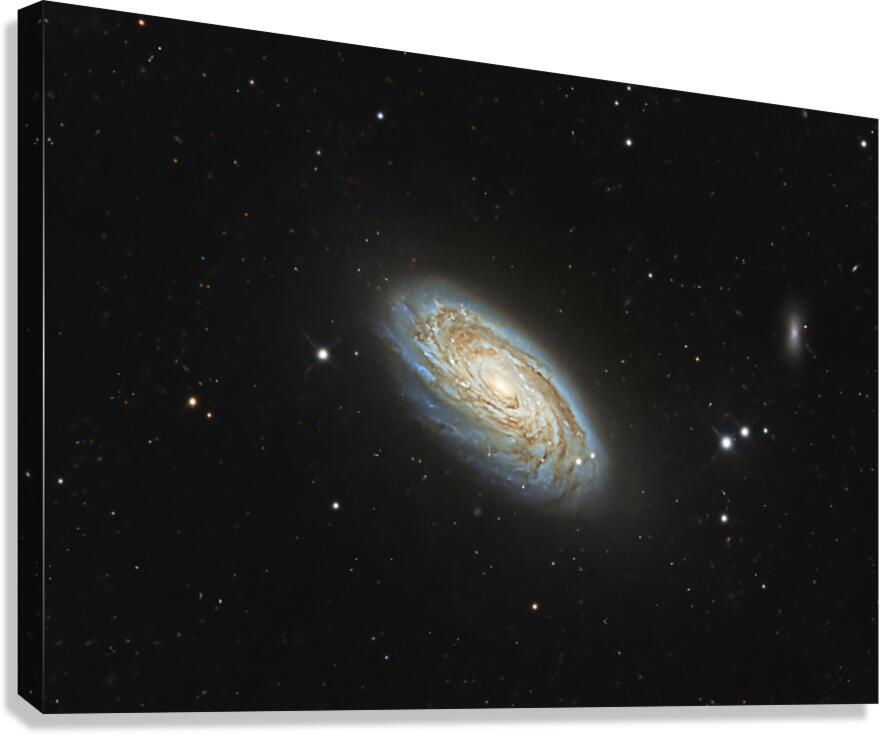 Messier 88 Canvas Print