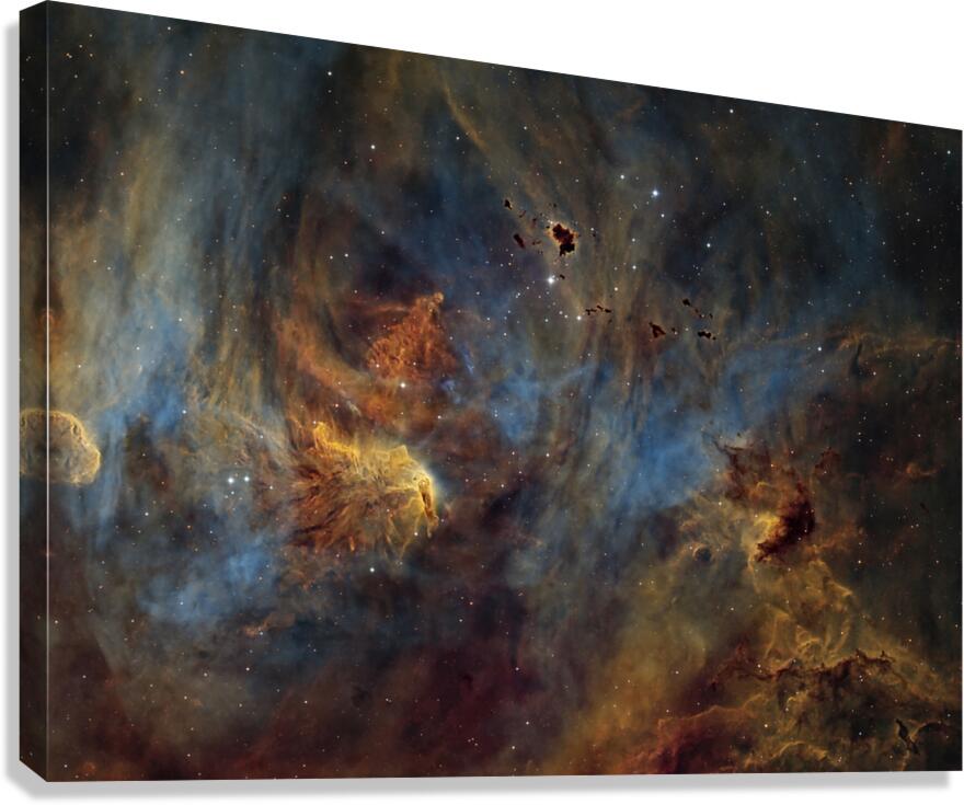 IC2944 Canvas Print