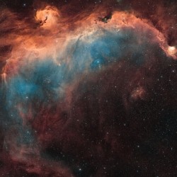 Seagull Nebula