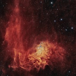 Flaming Star Nebula