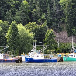 Fishing Boats