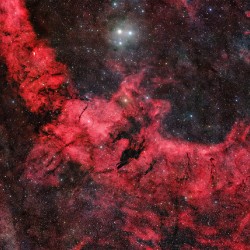 Dark Wolf Nebula widefield