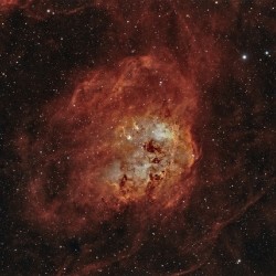 Tadpole Nebula