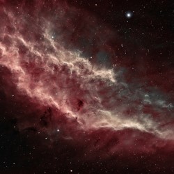 California Nebula