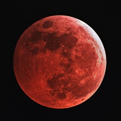 Blood Moon
