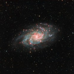 M33