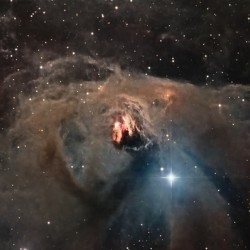 NGC 1555