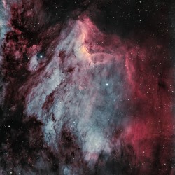 Pelican Nebula
