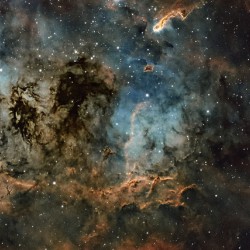 IC 410