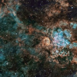 Whirling Dervish Nebula