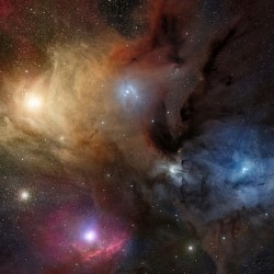 Rho Ophiuchi