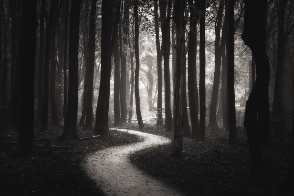Snakes path Print