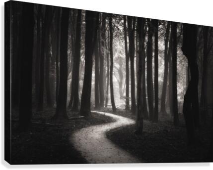 Snakes path Canvas Print