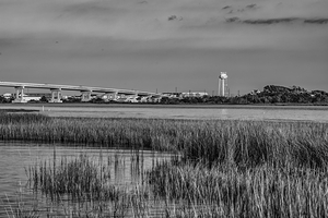 Lowtide Highrise