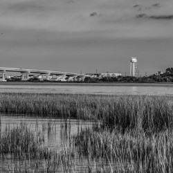 Lowtide Highrise