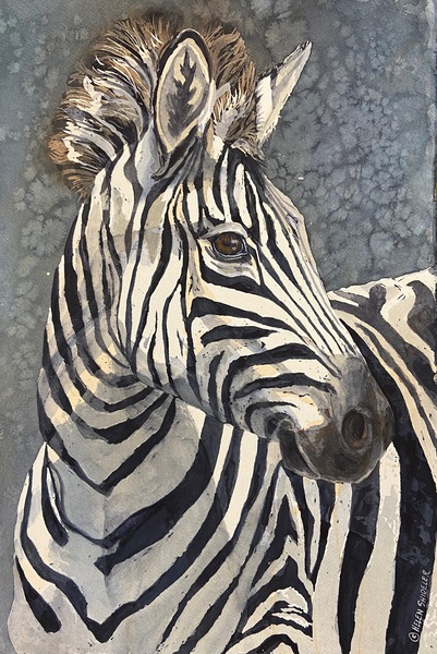 Zazzel the Zebra by Helen Shideler