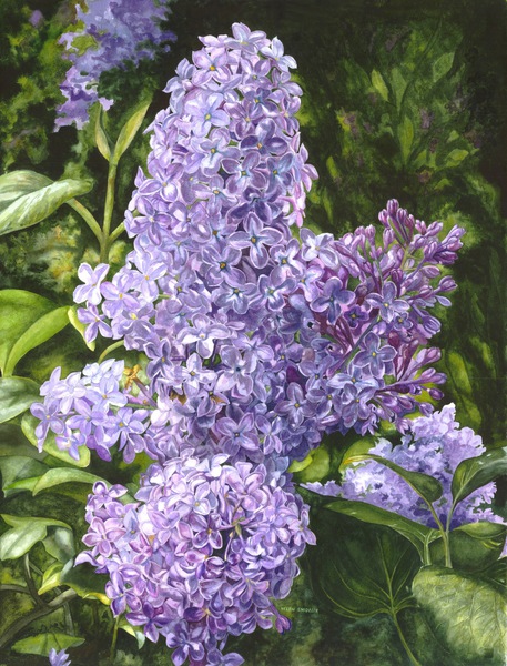 Spring Scentsation Print