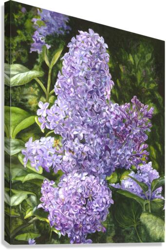 Spring Scentsation Canvas Print