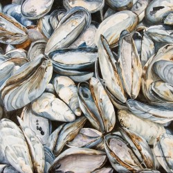 Fundy Blues