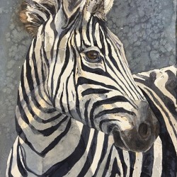 Zazzel the Zebra